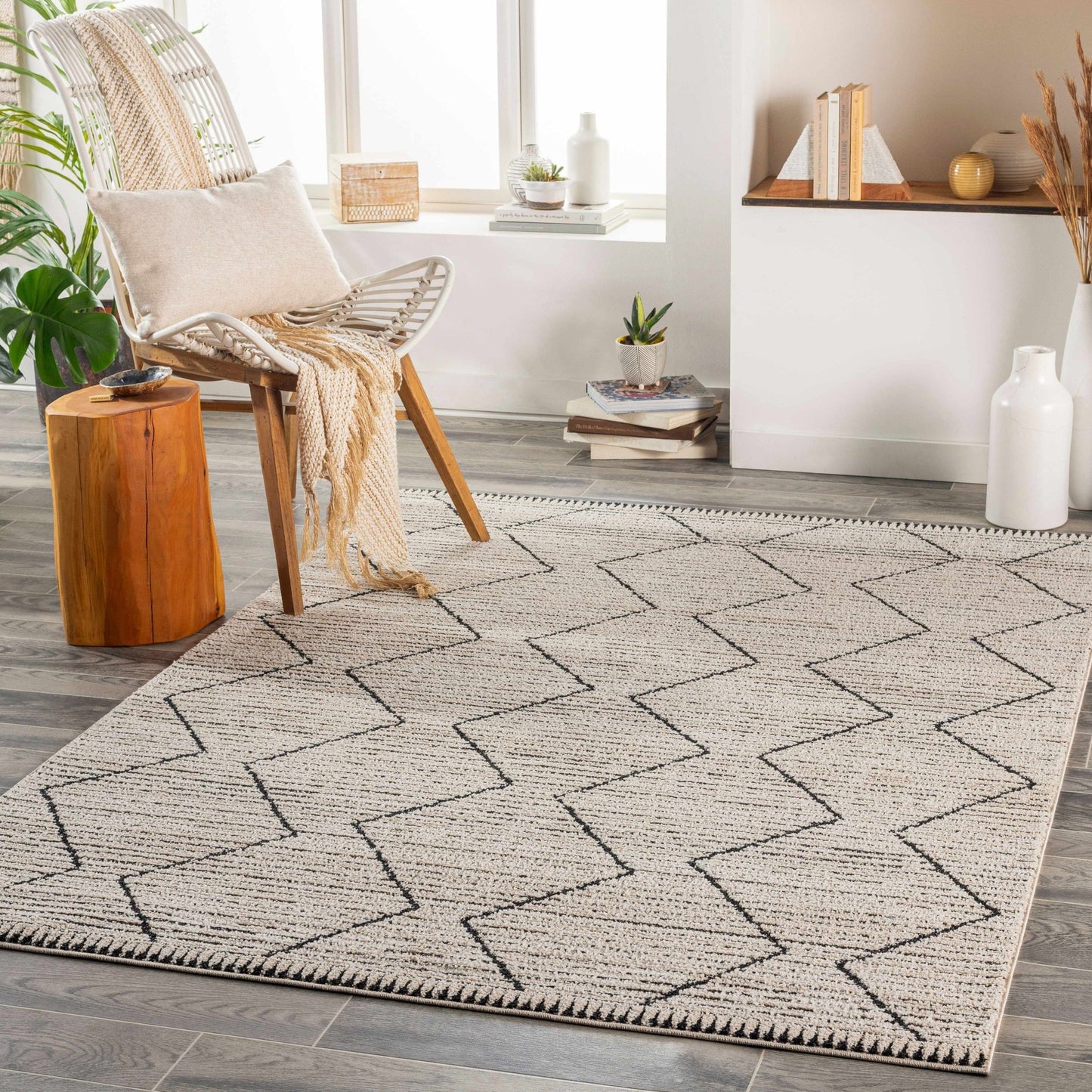 Maonon Cozy Area Carpet - Clearance - My Store